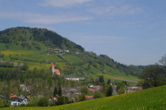 Aufhohrchen